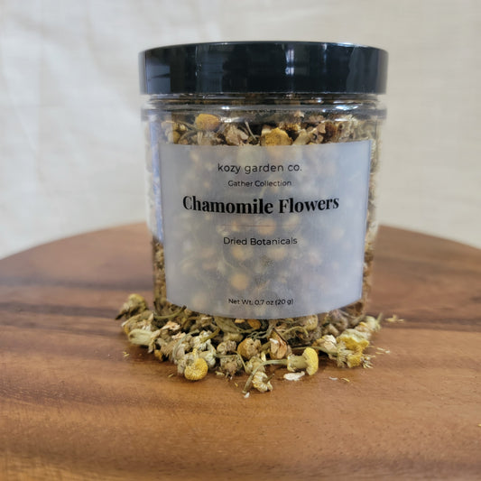 Chamomile Blossoms